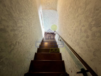 IMG_2349.jpeg