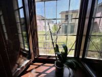 IMG_2353.jpeg