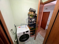 IMG_2356.jpeg