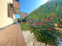 IMG_7206.jpg