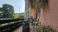 TERRAZZINO.jpeg