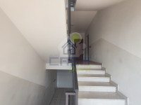 VANO-SCALE.jpg