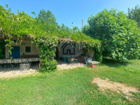 IMG_7362.jpg