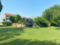IMG_7388.jpg