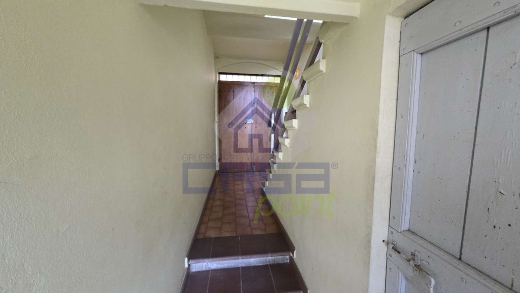 ingresso