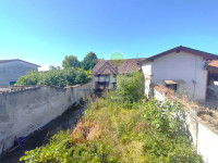 IMG20250729095608.jpg