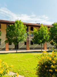 ESTERNA 1