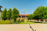 ESTERNA 5