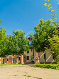 ESTERNA 11