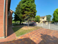 IMG_7533.jpg
