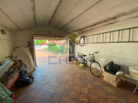 IMG_7563.jpg