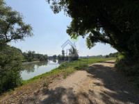 fiume olio