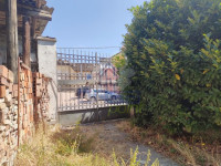 IMG20250717111948.jpg