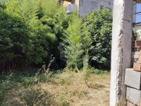 IMG20250717112042.jpg