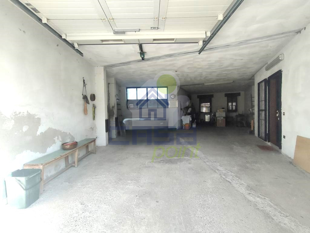 IMG20250711085744.jpg