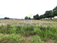 TERRENO AGRICOLO