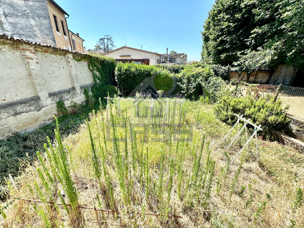 CORTILE---ORTO.jpg