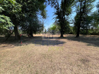 AREA VERDE
