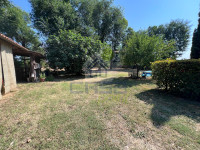 AREA VERDE