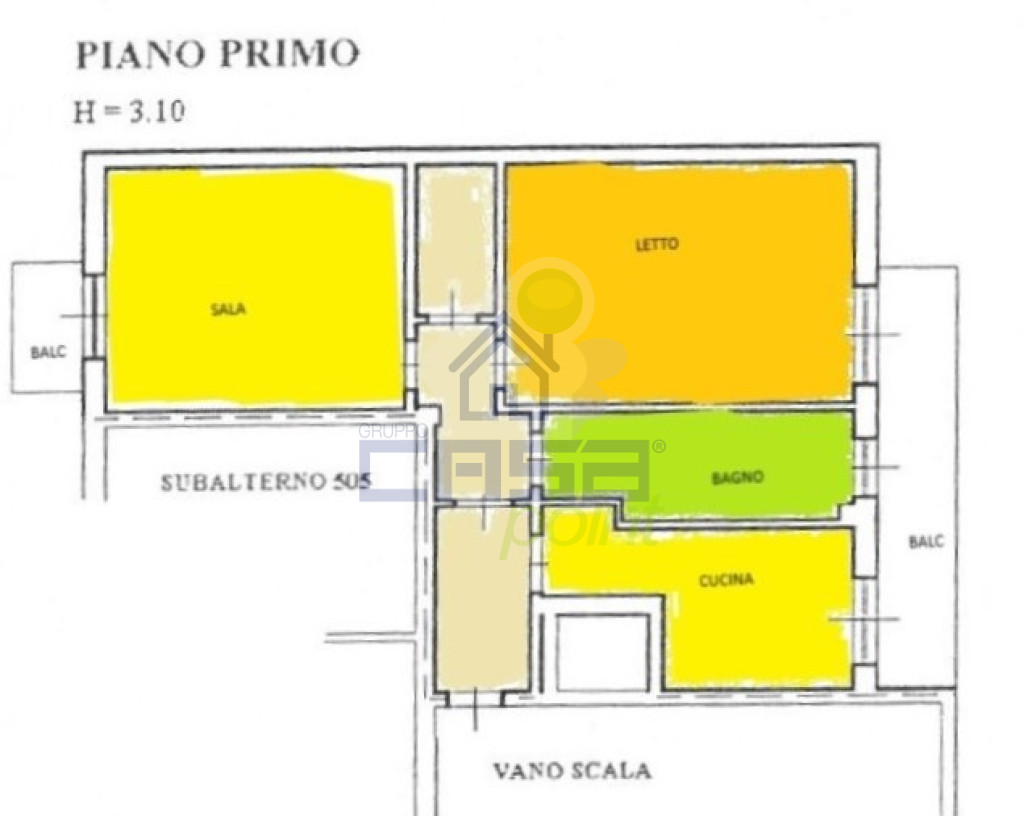 PLANI COLORATA.jpg