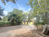 IMG20250724095944.jpg