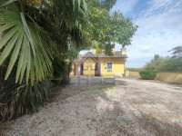 IMG20250724100004.jpg