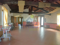 IMG20250724100410.jpg