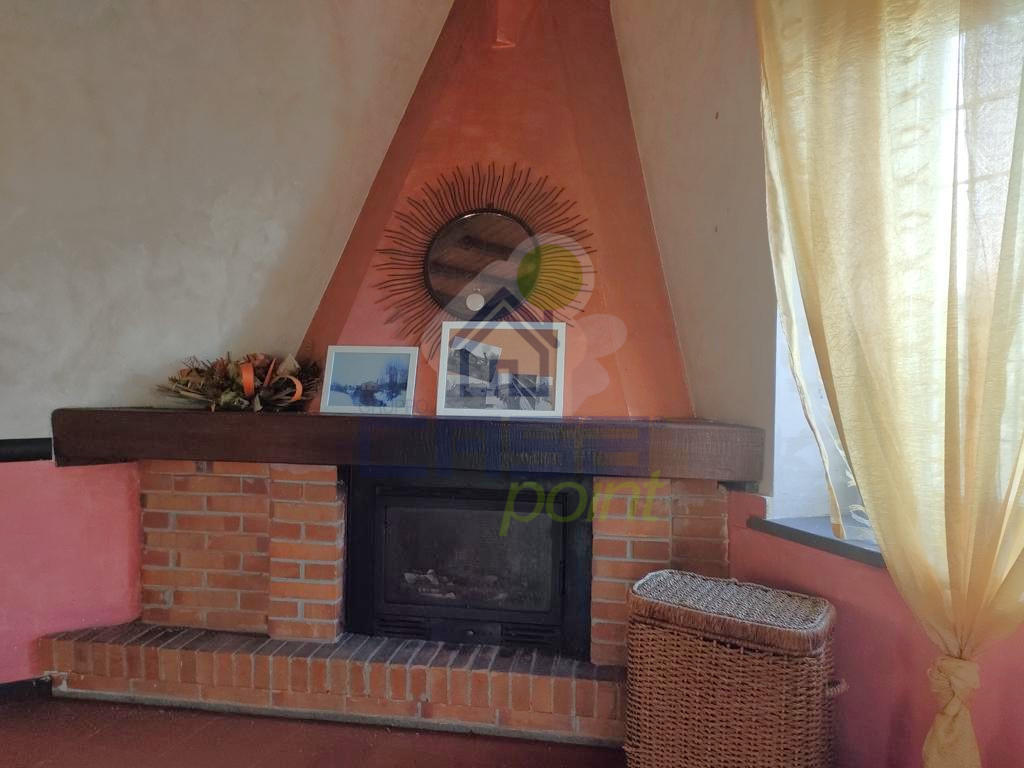 IMG20250724100419.jpg