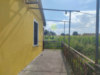 IMG20250724100452.jpg