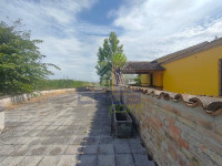 IMG20250724100948.jpg