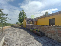 IMG20250724100955.jpg