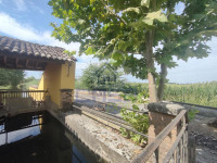 IMG20250724101246.jpg