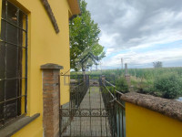 IMG20250730101732.jpg