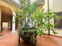 IMG_E4791.JPG