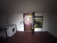 IMG_3124.jpeg