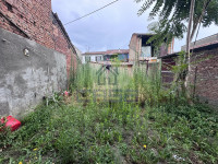 IMG_3127.jpeg