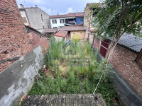 IMG_3128.jpeg
