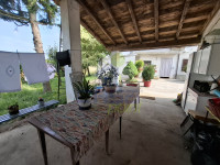 PORTICATO