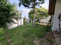 AREA VERDE