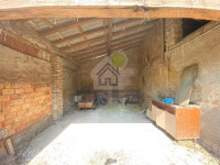 IMG_2875.jpg