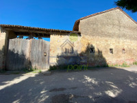 IMG_7940.jpg