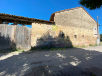 IMG_7941.jpg