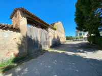 IMG_7949.jpg