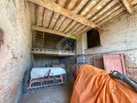 IMG_8567.jpg