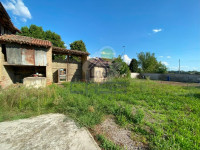 IMG_8574.jpg