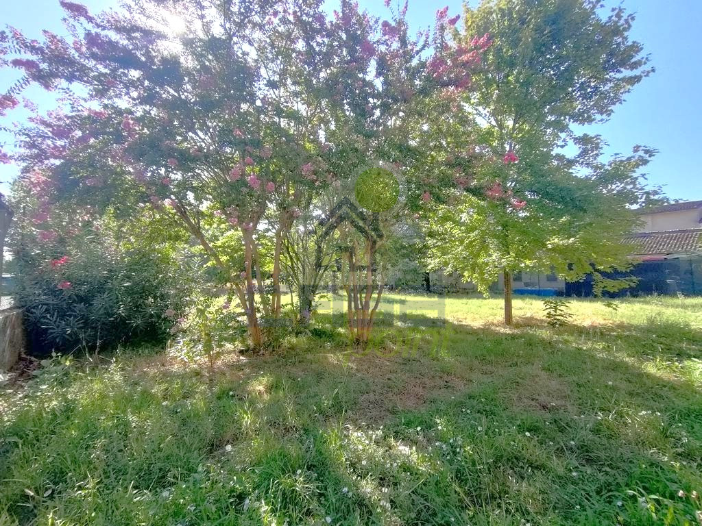 IMG20250805094218.jpg