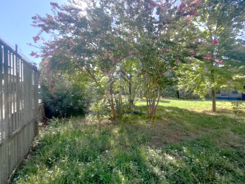 IMG20250805094220.jpg