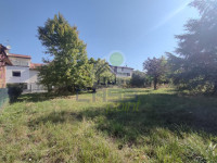IMG20250805094248.jpg