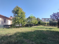 IMG20250805094300.jpg