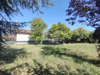 IMG20250805094317.jpg